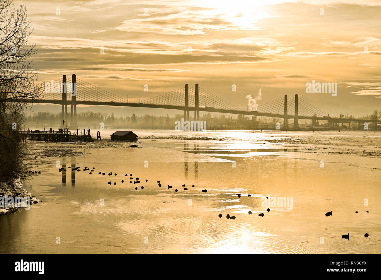 Golden Ears Bridge, Fraser River, from Pitt Meadows, British Columbia