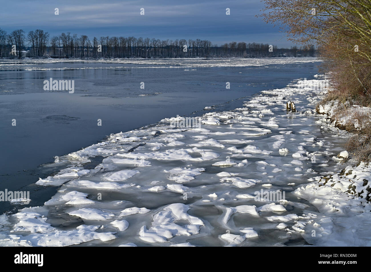 Golden Ears Bridge, Fraser River, from Pitt Meadows, British Columbia
