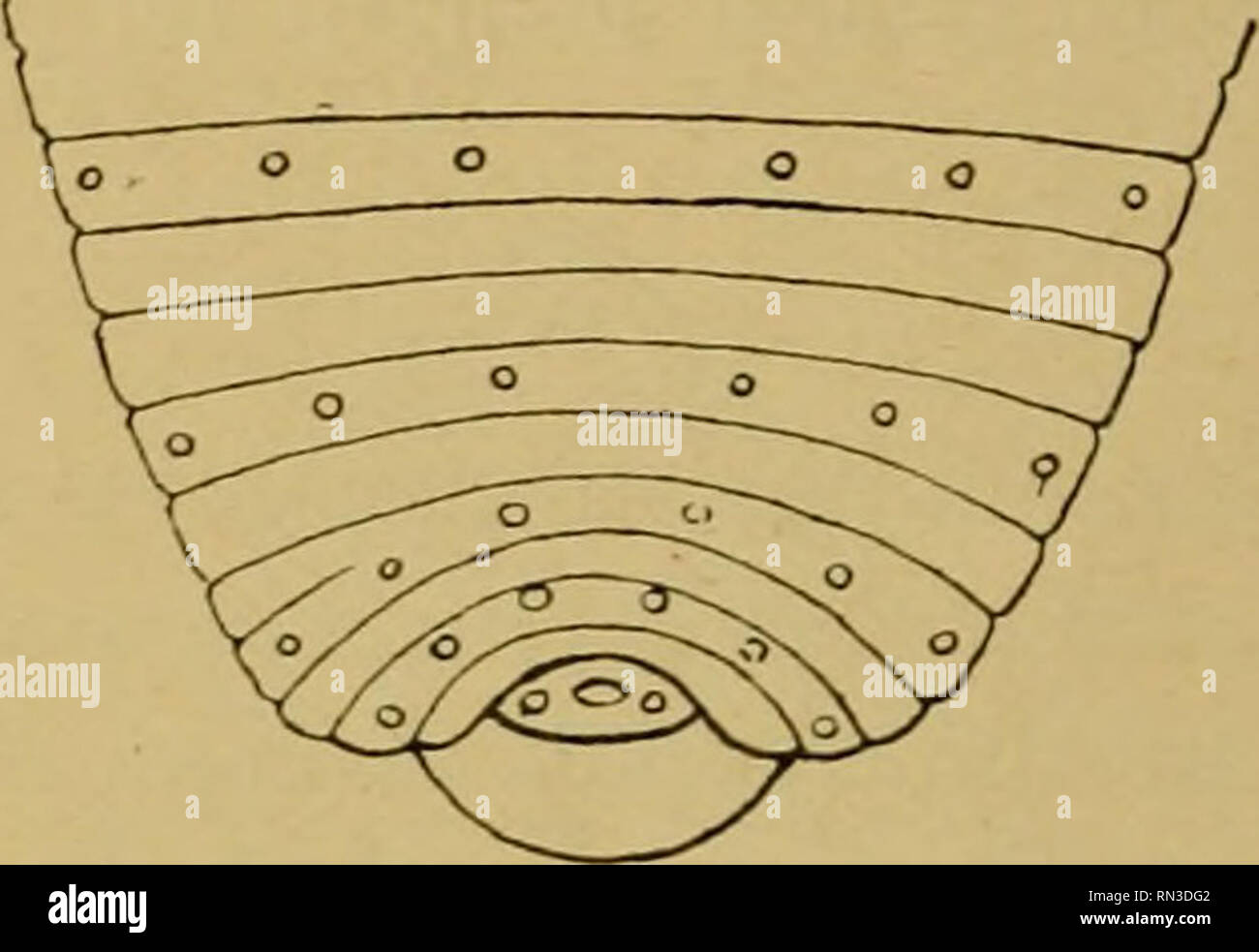 Anneau du lac hires stock photography and images Alamy