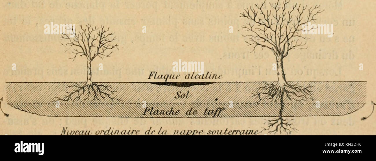 Plancher de tuf hi-res stock photography and images - Alamy
