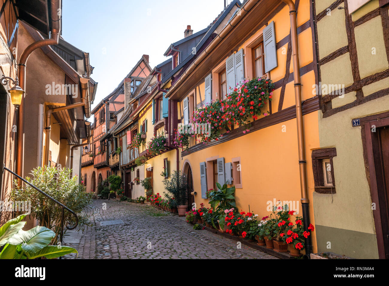 Colroy La Roche Cobblestone street in Alsace village France with colorful houses and ...