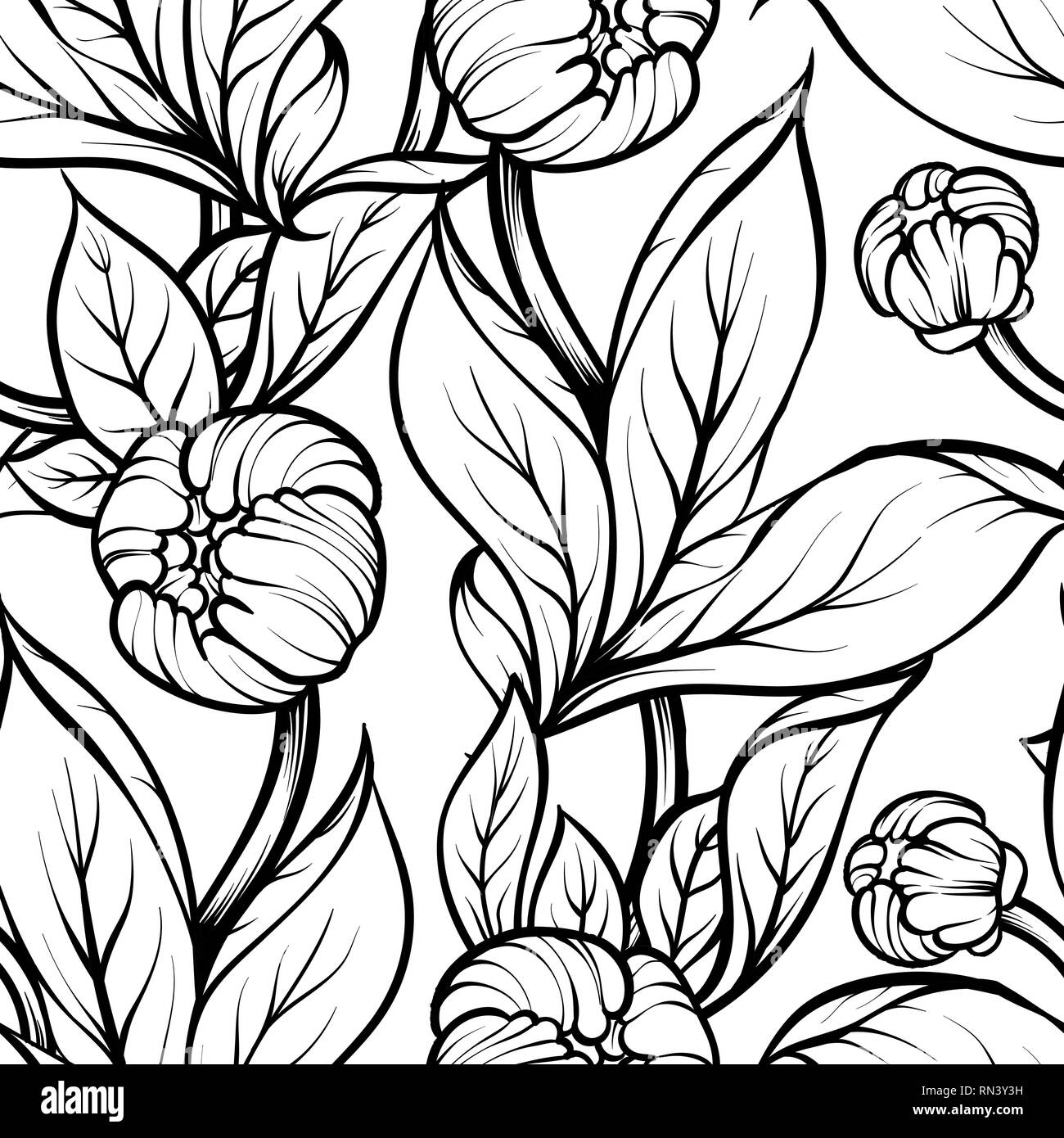 Peony Flower Seamless Pattern Line Drawing Vector Hand Drawn Engraved Floral Background Black Ink Sketch Great For Invitation Card Fabric Print An Stock Vector Image Art Alamy