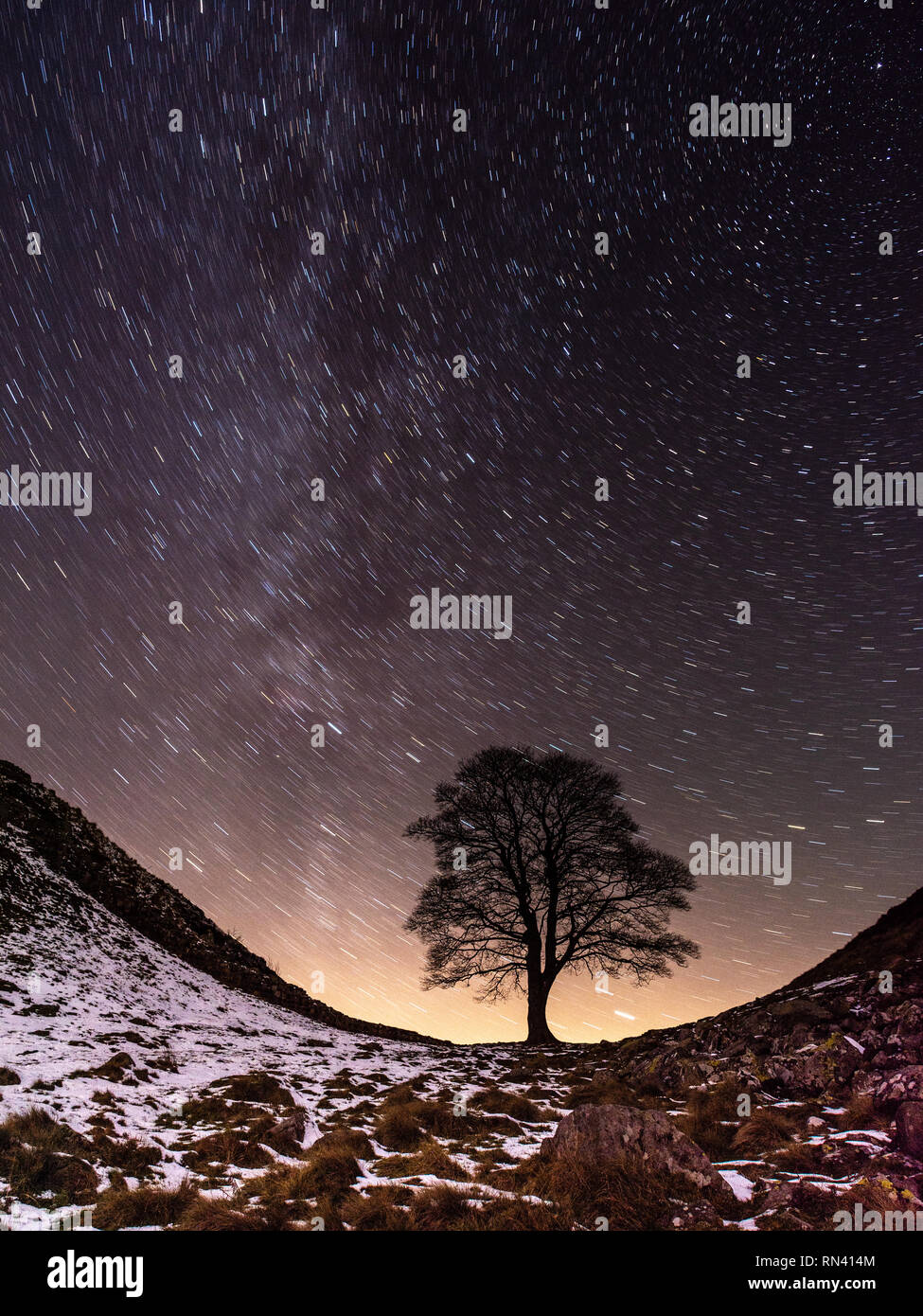 Stars leave trails in the night sky in a long exposure photo of the lone sycamore tree of Sycamore Gap on Hadrian's Wall. Stock Photo