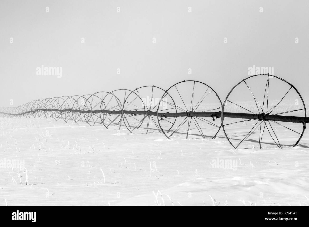 Sprinkler system on field during winter Stock Photo