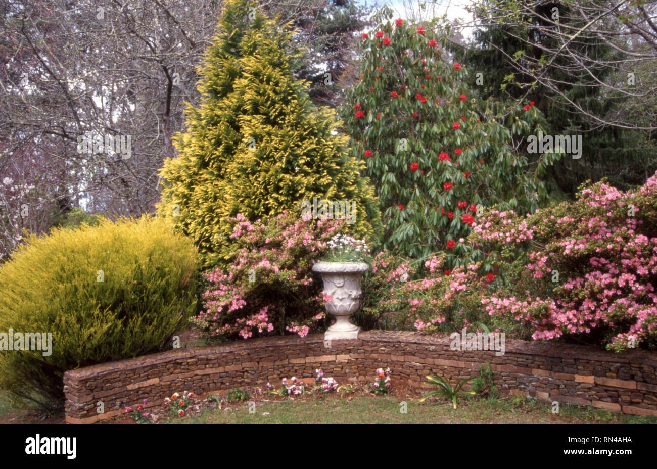 Australian shrubs hi-res stock photography and images - Alamy