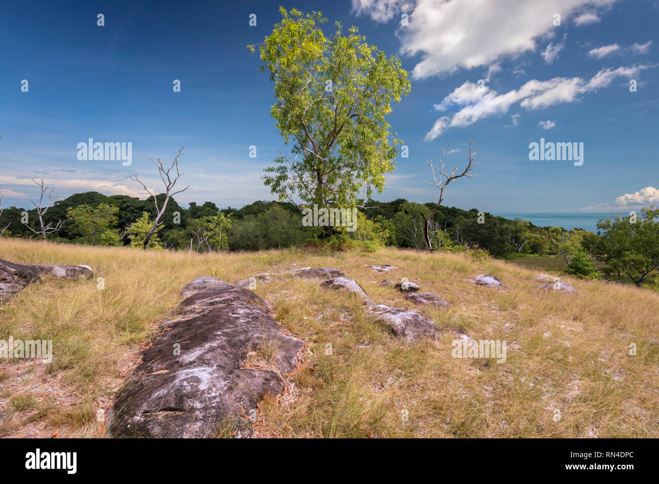 Bukit Kubong Is Located At 148m Above Sea Level And It Is A Popular Hiking Spot In Labuan Island Rn4dpc Jpg