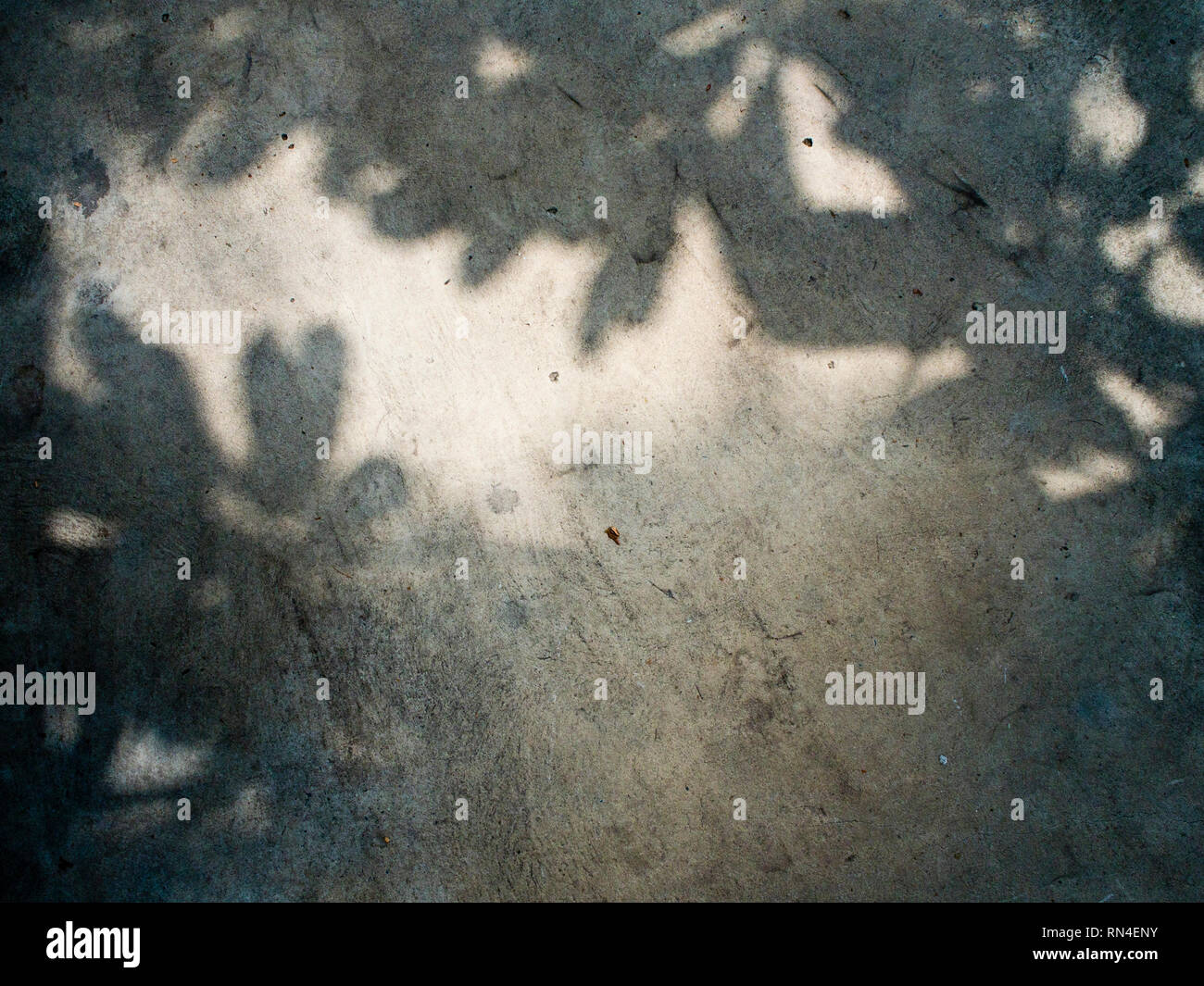 Shadow of leaf on Concrete floor Stock Photo