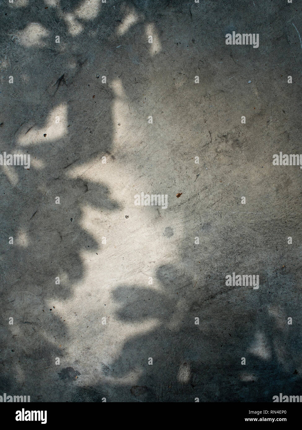 Shadow of leaf on Concrete floor Stock Photo