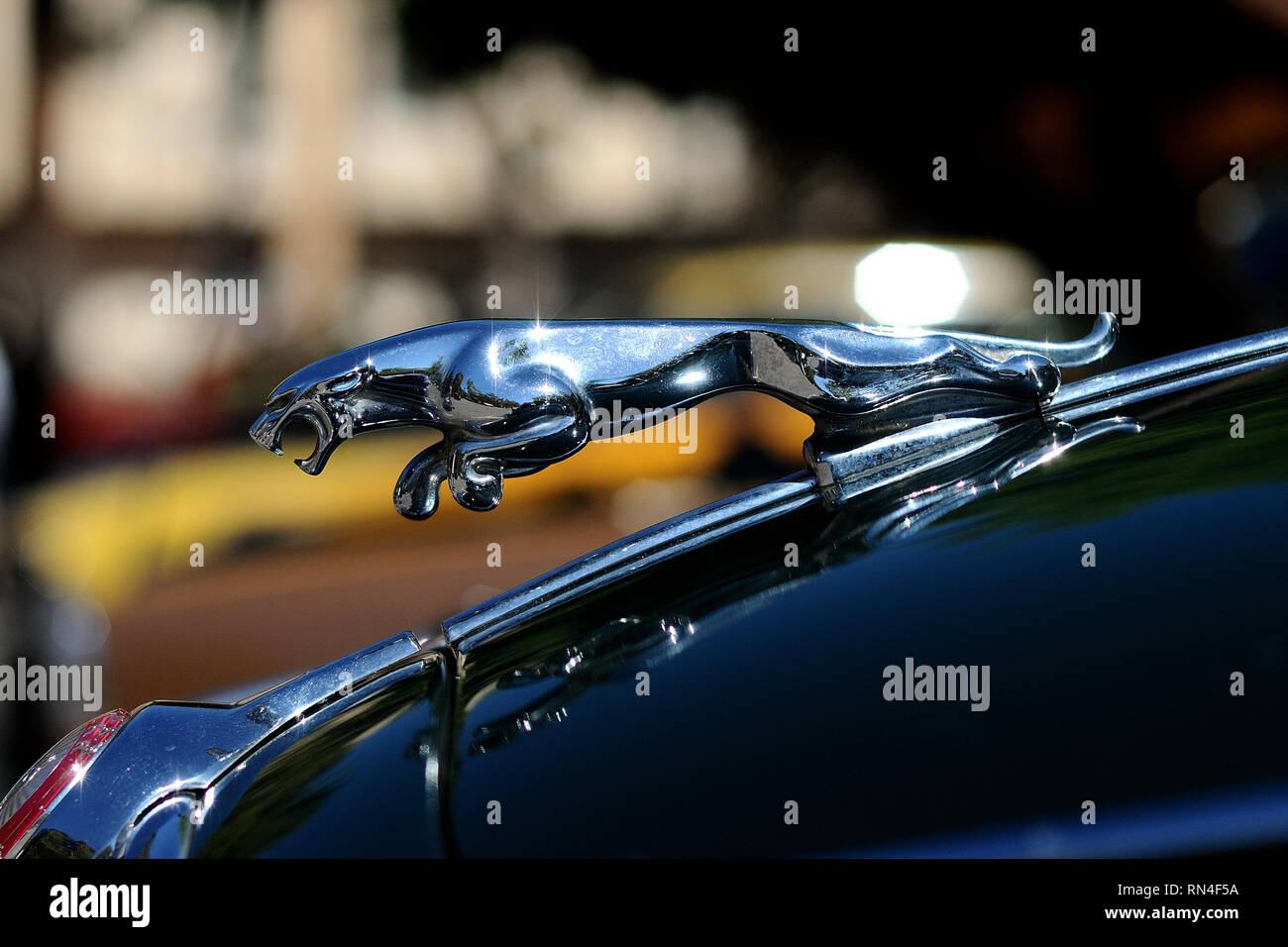 Jaguar hood ornament Stock Photo Alamy