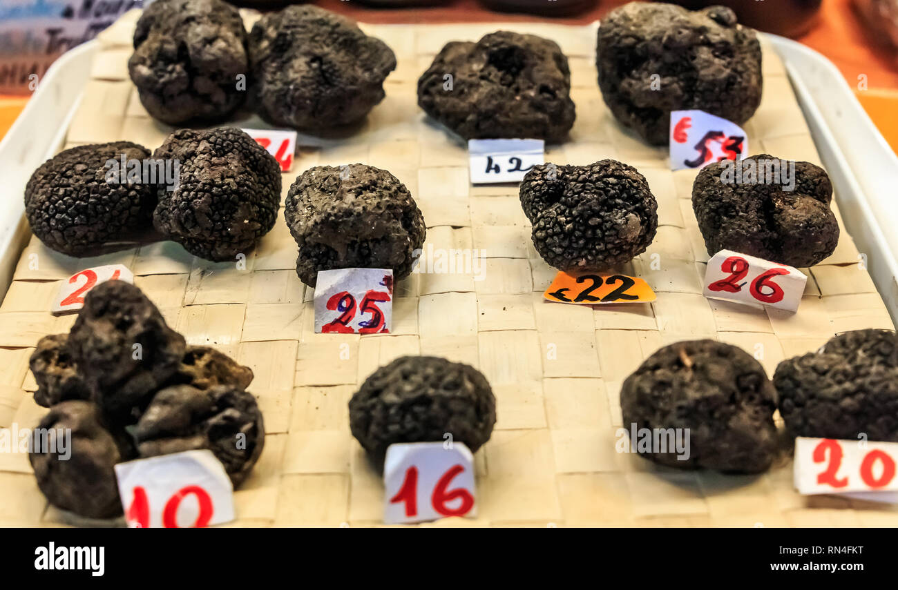 Selection of Black Truffles Tuber melanosporum with price tags on display at a market stall in Ventimiglia, Umbria Italy Stock Photo