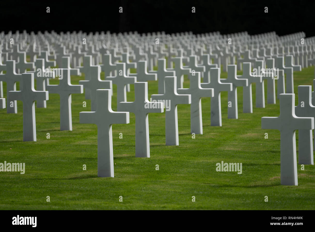 Luxembourg American Cemetery and Memorial gravestone crosses. Stock Photo
