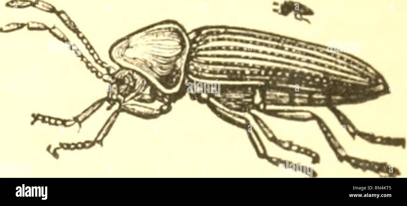 Occasioned Occasioned