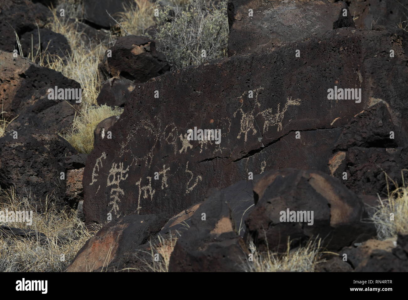 Ancient Native American rock art along the Rinconada Trail in ...