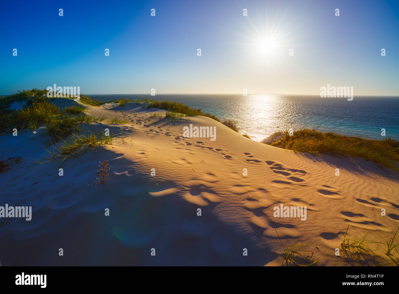 sand dunes in the sunset, bills bay, coral bay, coral coast, western australia Stock Photo