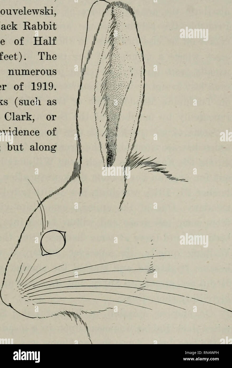Rabbit droppings hi-res stock photography and images - Alamy