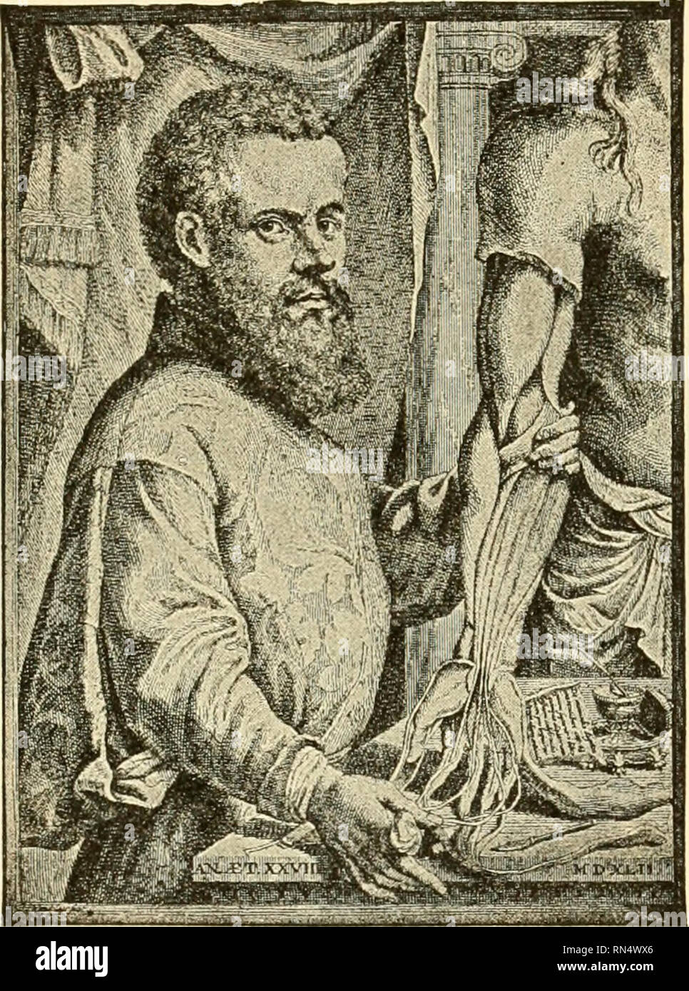 . Animal biology. Zoology; Biology. HISTORY OF ZOOLOGY 579 zoological