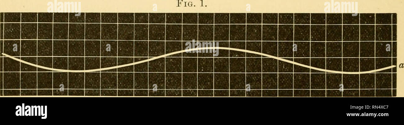 Animal Locomotion The Muybridge Work At The University Of Pennsylvania The Method And The Result Muybridge Animal Locomotion The Muybridge Work At The University Of Pennsylvania The Method And The Result Muybridge