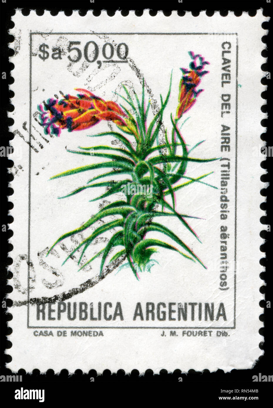 Postage stamp from Argentina in the Flowers series issued in 1984 Stock Photo