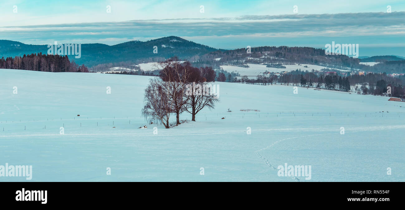 Panoramatic winter czech landscape with trees and hill in valley Stock Photo