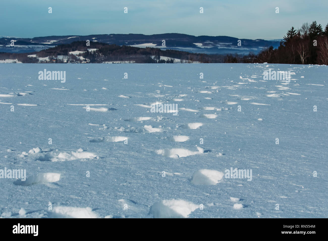 Detail of feet in snow in winter czech landscape Stock Photo