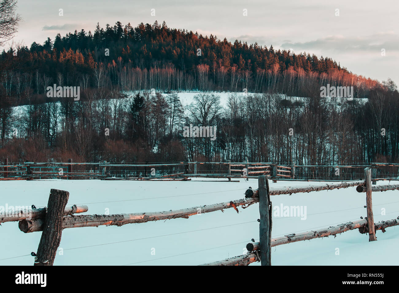 Nice czech winter landscape with empty ranch fence Stock Photo