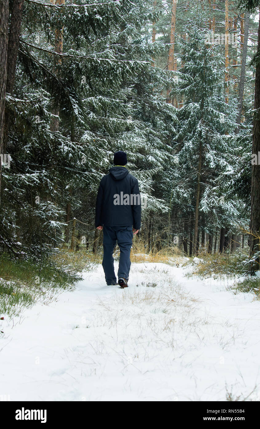 Young man standing in winter landscape in forest with snow Stock Photo ...