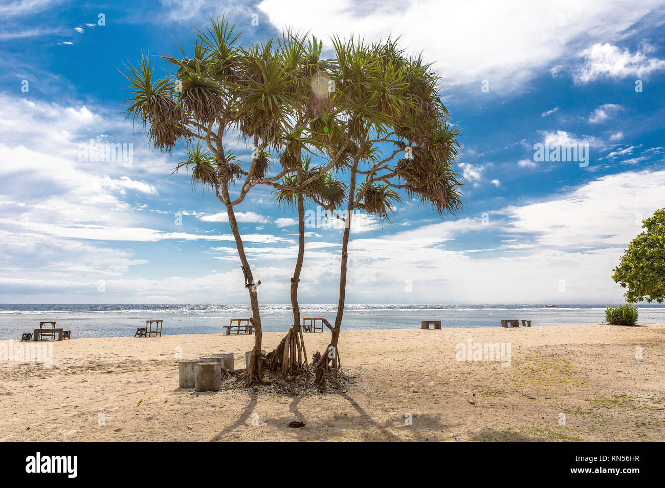 Tropical trees on the coast of Gili Trawangan in Indonesia. Stock Photo