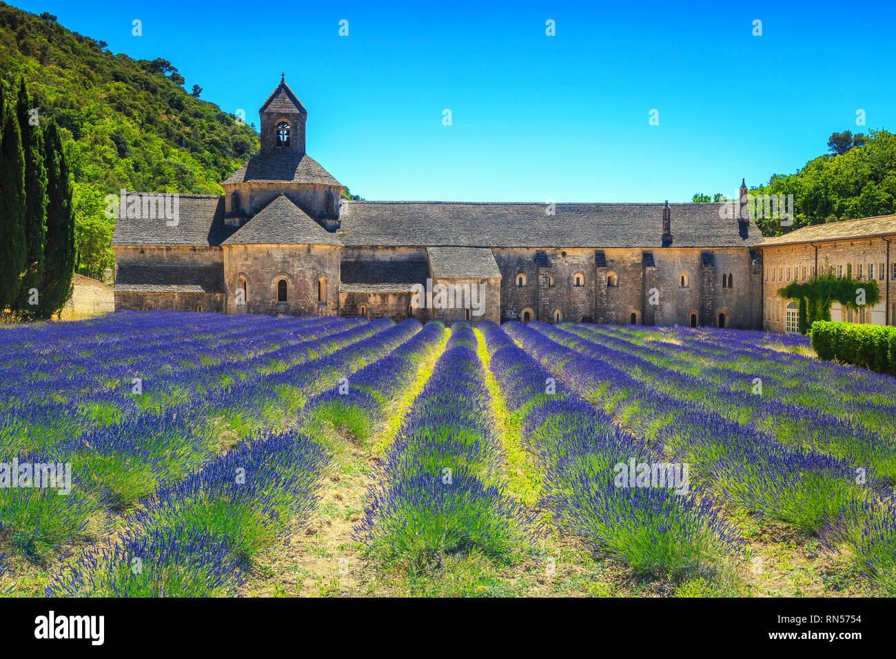 Admirable travel destination, beautiful violet lavender fields with Senanque monastery near Gordes touristic village, Luberon, Provence region, France Stock Photo