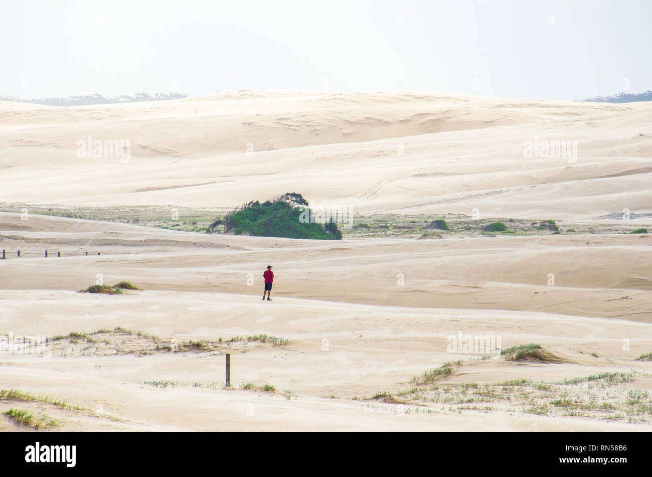Lone man stands in dry arid sand dunes. Man explores Stockton Sand dunes, Port Stephens, the largest moving sand dunes in Australia. Stock Photo