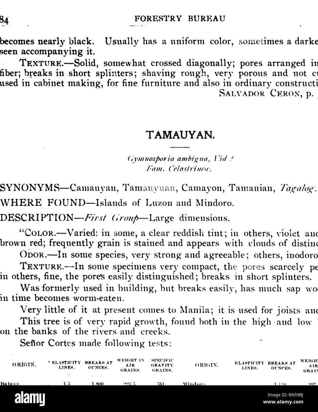 . Compilation of notes on the most important timber tree species of the Philippine Islands. Timber; Trees. TAMAUYAN. Gymnosporia ninbi&lt;rna. Vid. ? Fam. Celastrineffi. Made from drawim copied from nature by R. Garcfa. Page 84.. Please note that these images are extracted from scanned page images that may have been digitally enhanced for readability - coloration and appearance of these illustrations may not perfectly resemble the original work.. Ahern, George Patrick, 1859-1942. [Manila] Stock Photo