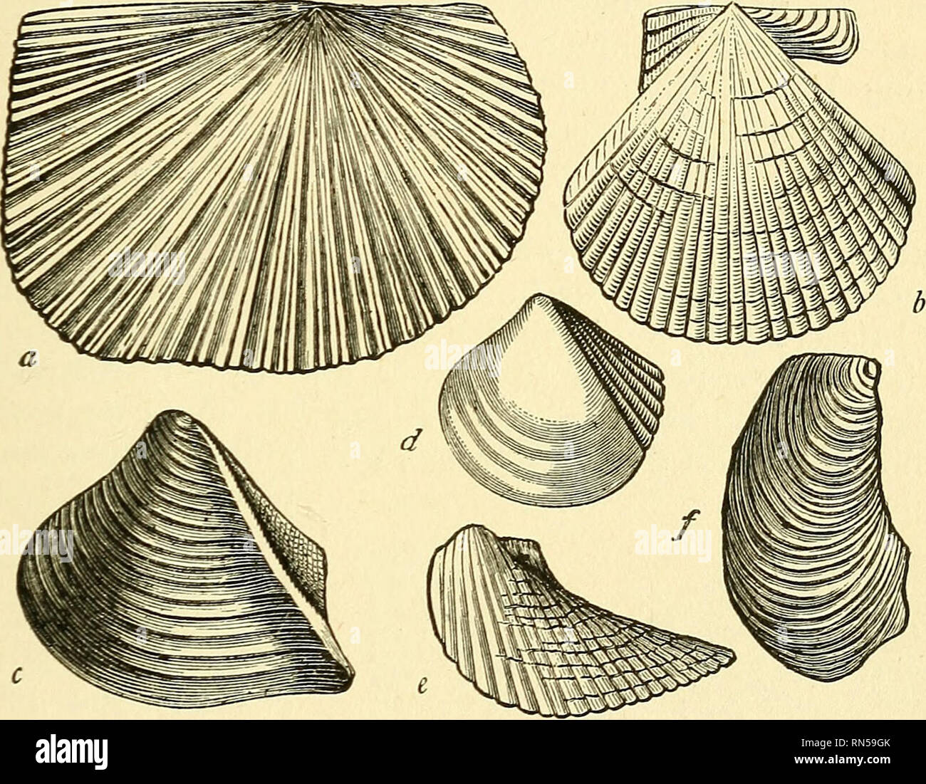 alamy