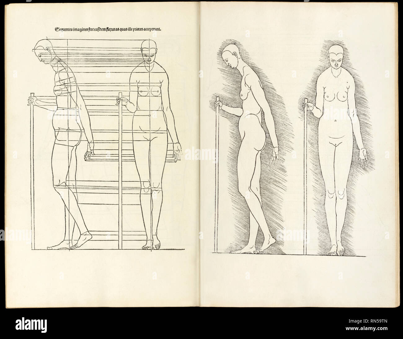 Female with staff, anatomical woodcut from ‘Hierinn sind begriffen vier bücher von menschlicher Proportion’ by Albrecht Durer (1471-1528) a work about the proportion of the human body first published in 1528. Stock Photo