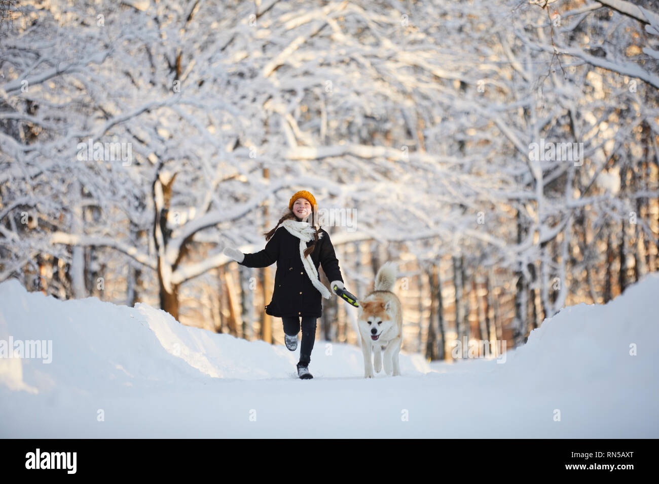 Girl Walking Dog in Winter Park Stock Photo