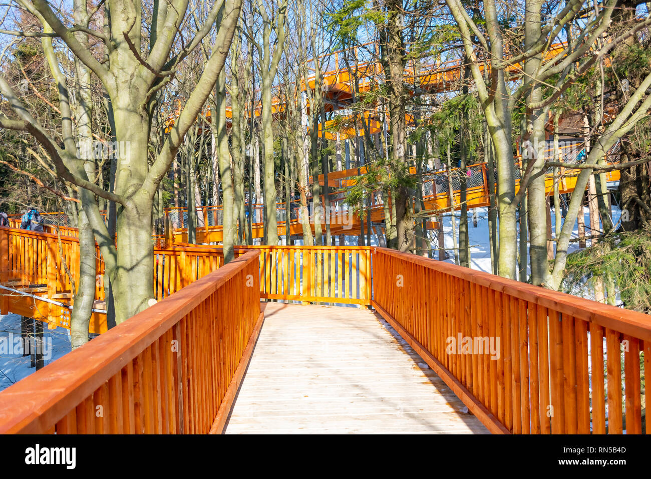Pustevny A new wooden lookout tower or sky walking in trees in Pustevny, Beskids ...