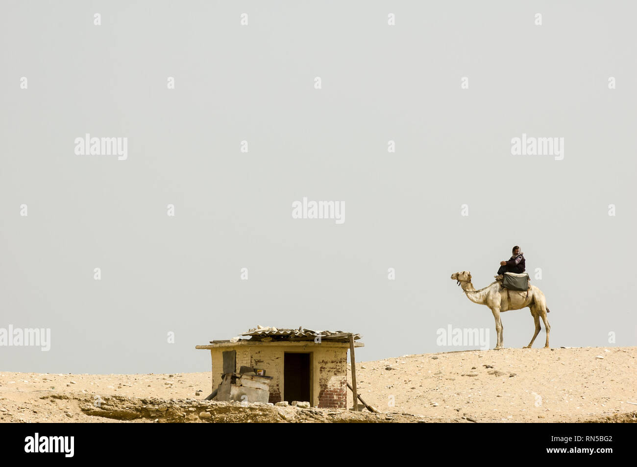 Saqqara, Egypt - April 13 2008: camel driver on the desert dunes near the archaeological site of Saqqara Stock Photo