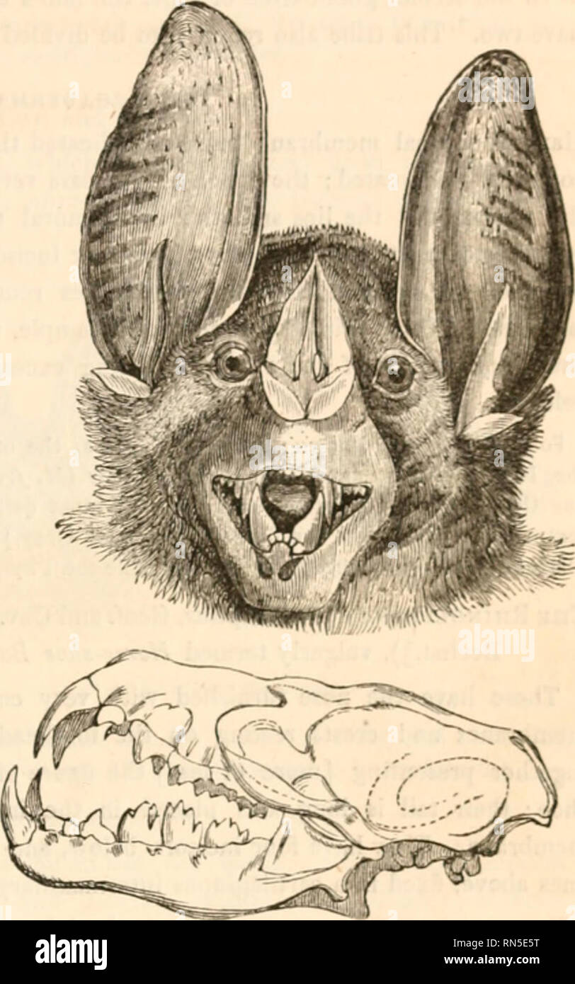 The animal kingdom, arranged after its organization, forming a natural history of animals, and an introduction to comparative anatomy. Zoology. CARNARIA. n an organ of suction ; and their lips also The animal kingdom, arranged after its organization, forming a natural history of animals, and an introduction to comparative anatomy. Zoology. CARNARIA. n an organ of suction ; and their lips also