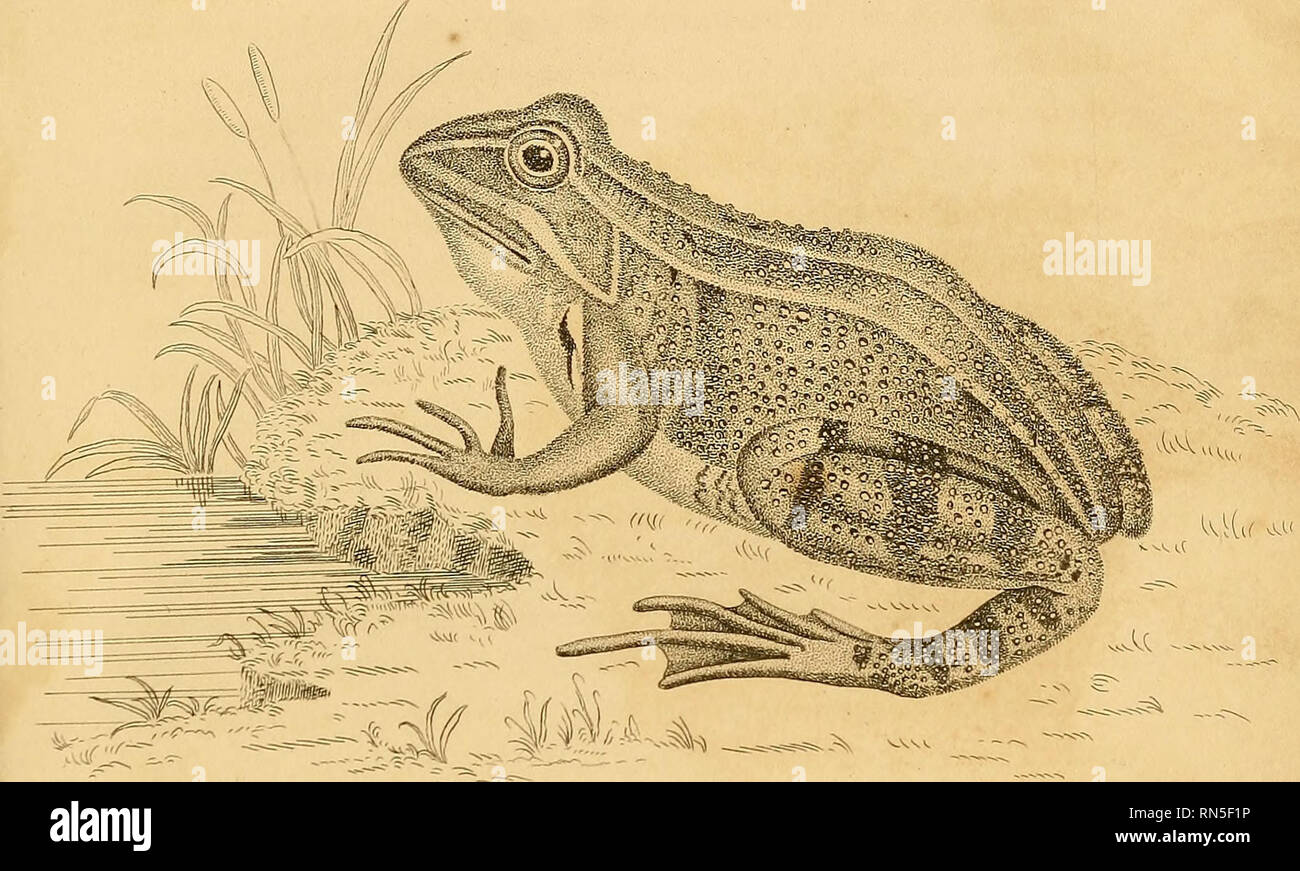 Maria whittaker hi-res stock photography and images - Alamy