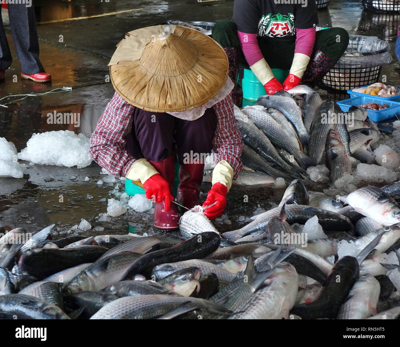KAOHSIUNG, TAIWAN -- JANUARY 13, 2019: Workers at the Sinda fish market ...
