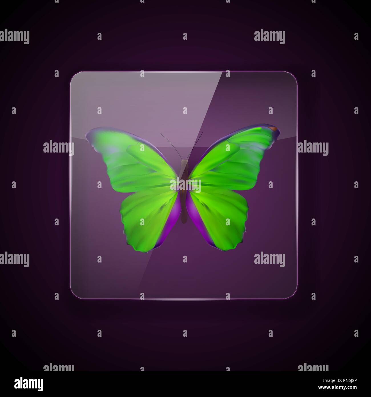 Glass Frame on dark Background with colorful green butterfly. Vector Illustration. EPS10 Stock Vector