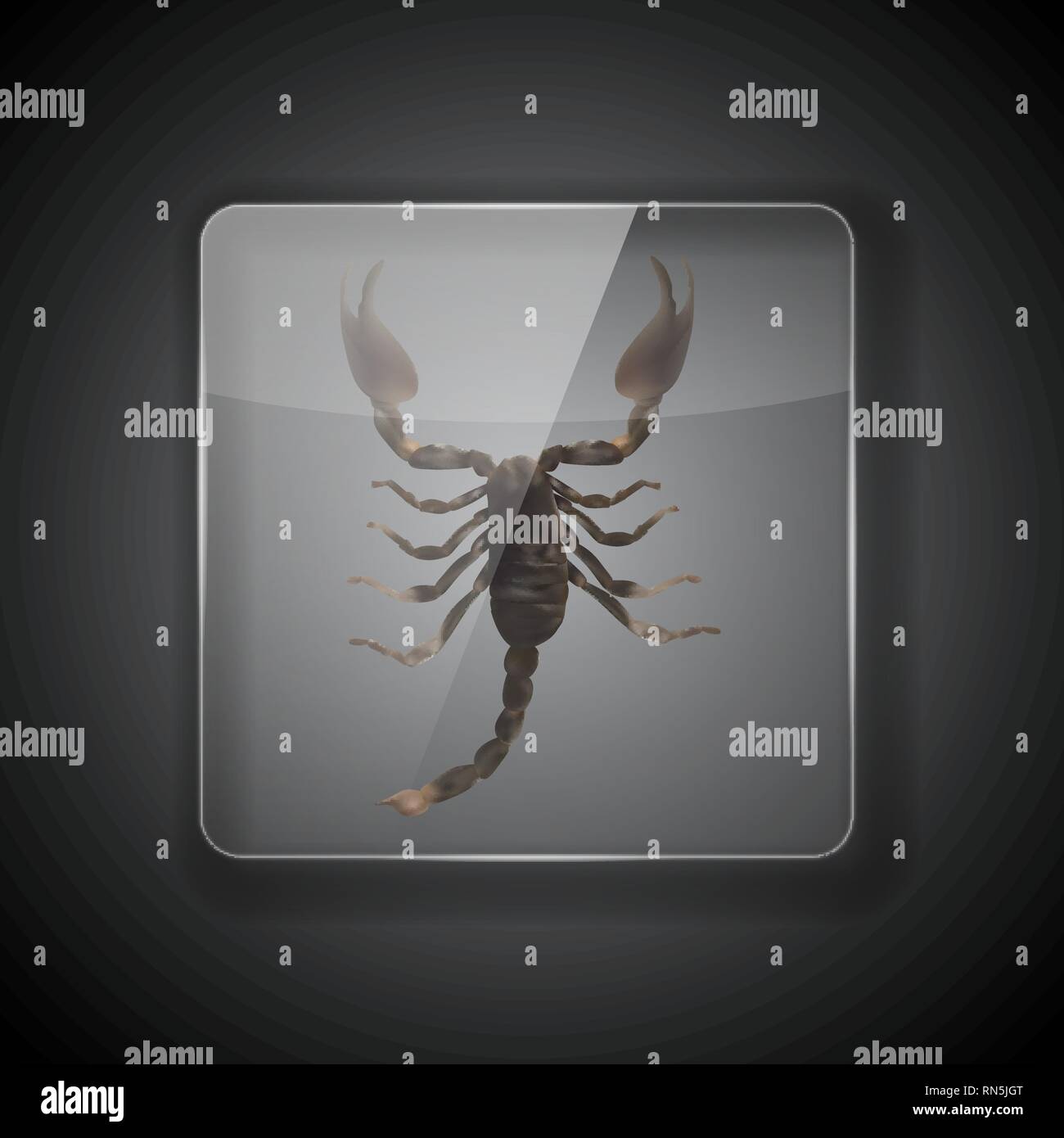 Glass Frame on dark Background with scorpion. Vector Illustration. EPS10 Stock Vector