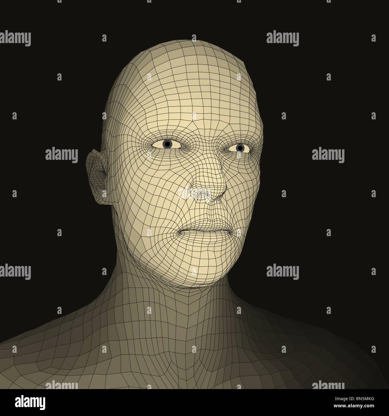 Head of the Person from a 3d Grid. Human Head Wire Model. Face Scanning. View of Human Head. 3D Geometric Face Design. Polygonal Covering Skin. Vector Stock Vector