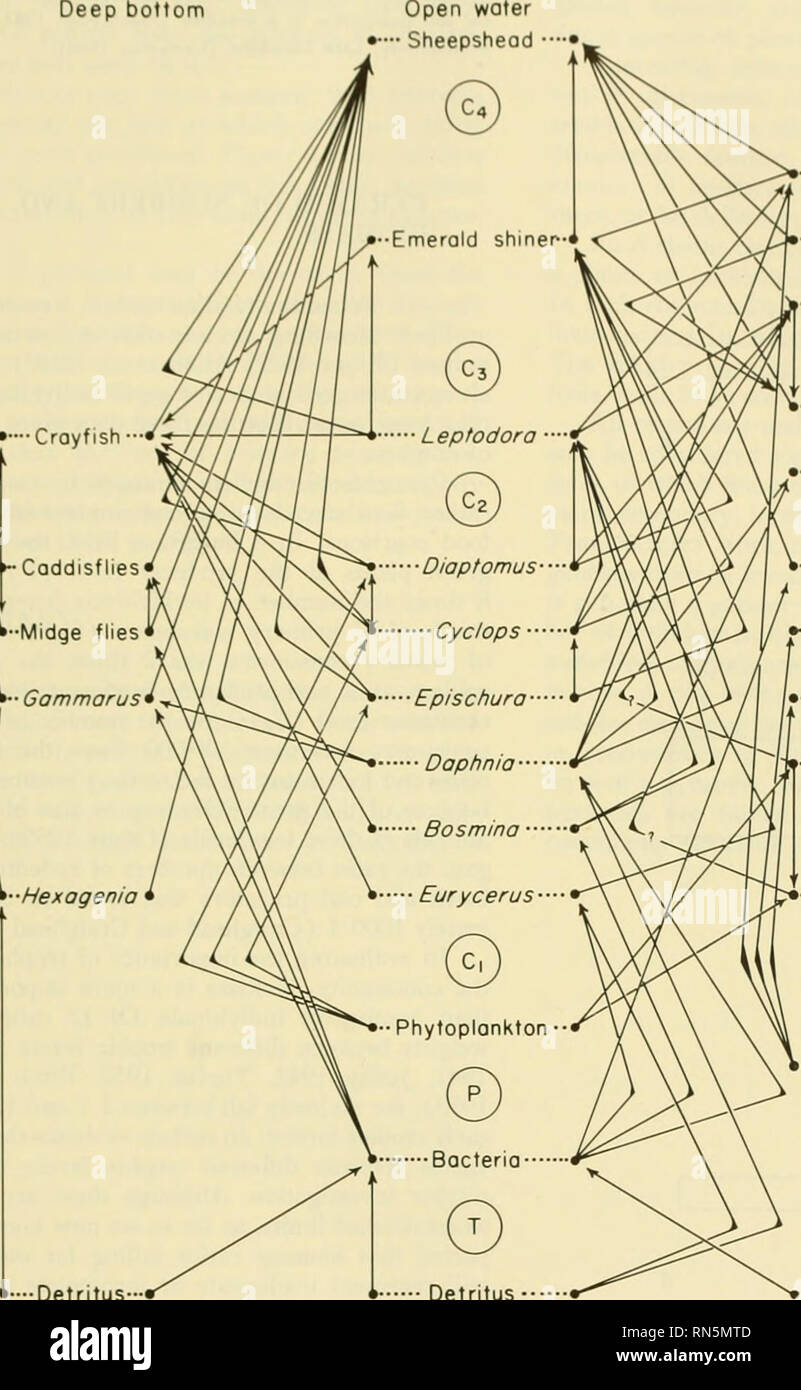 res stock photography and images Biology Diagrams