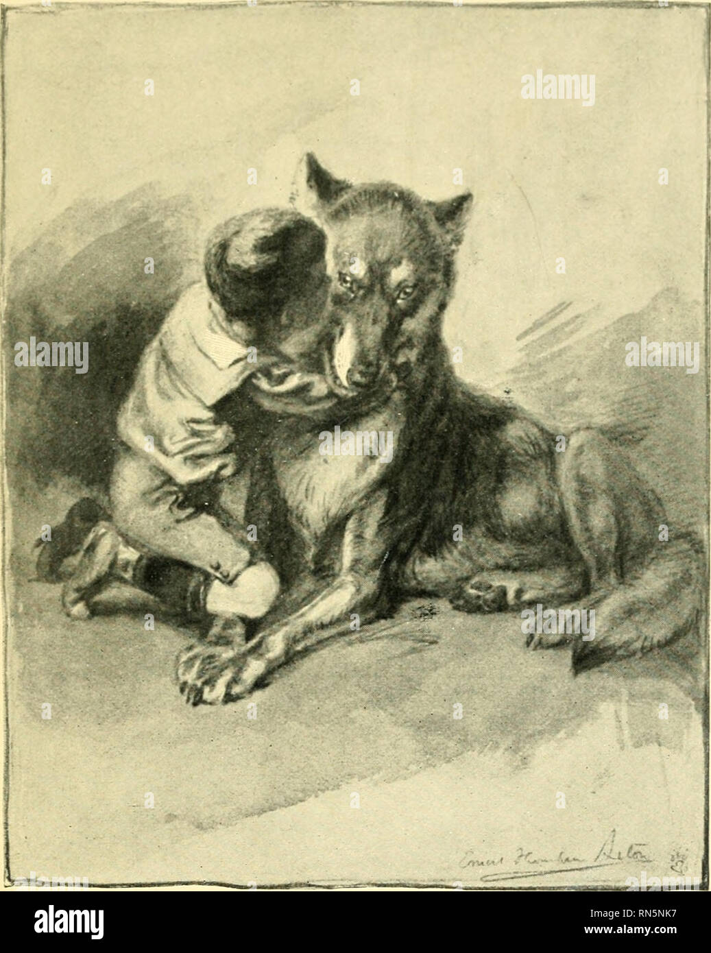 Animal Heroes Being The Histories Of A Cat A Dog A Pigeon A Lynx Two Wolves Amp A Reindeer And In Elucidation Of The Same Over 200 Drawings Animals Legends And