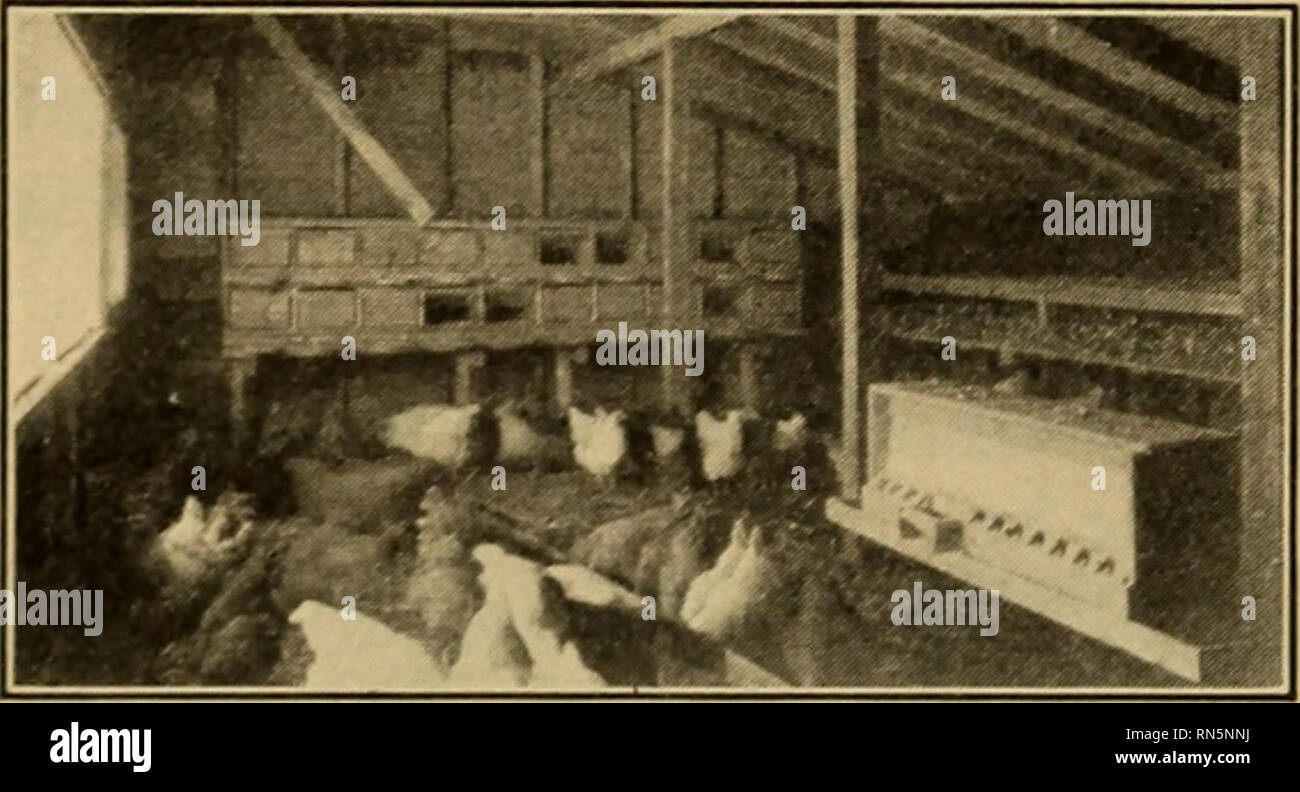 Animal husbandry. Livestock. Two Types of Houses. — There are two general types of houses; namely, the colony house or disconnected unit, and the continuous, or connected type. The latter is Animal husbandry. Livestock. Two Types of Houses. — There are two general types of houses; namely, the colony house or disconnected unit, and the continuous, or connected type. The latter is