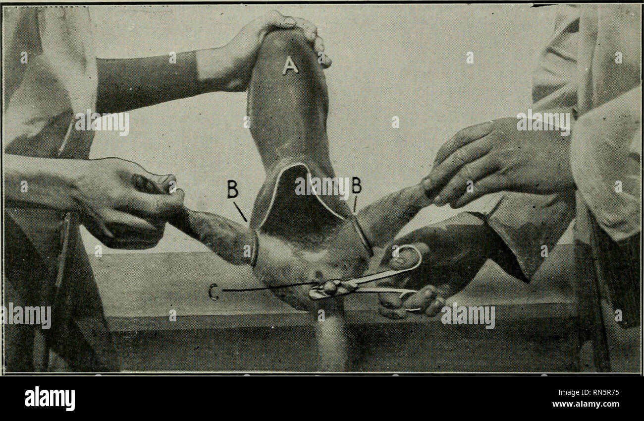 Sterilization of Instruments and Cleansing Operator's... 