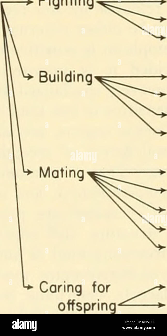 Animal Ecology Animal Ecology External Factors Motivation Releaser Mood Neural Mechanism Behavior Fig 2 5 Factors Involved In The Activation Of An Instinct Hormones Or As Kinesthesia Involving Changes