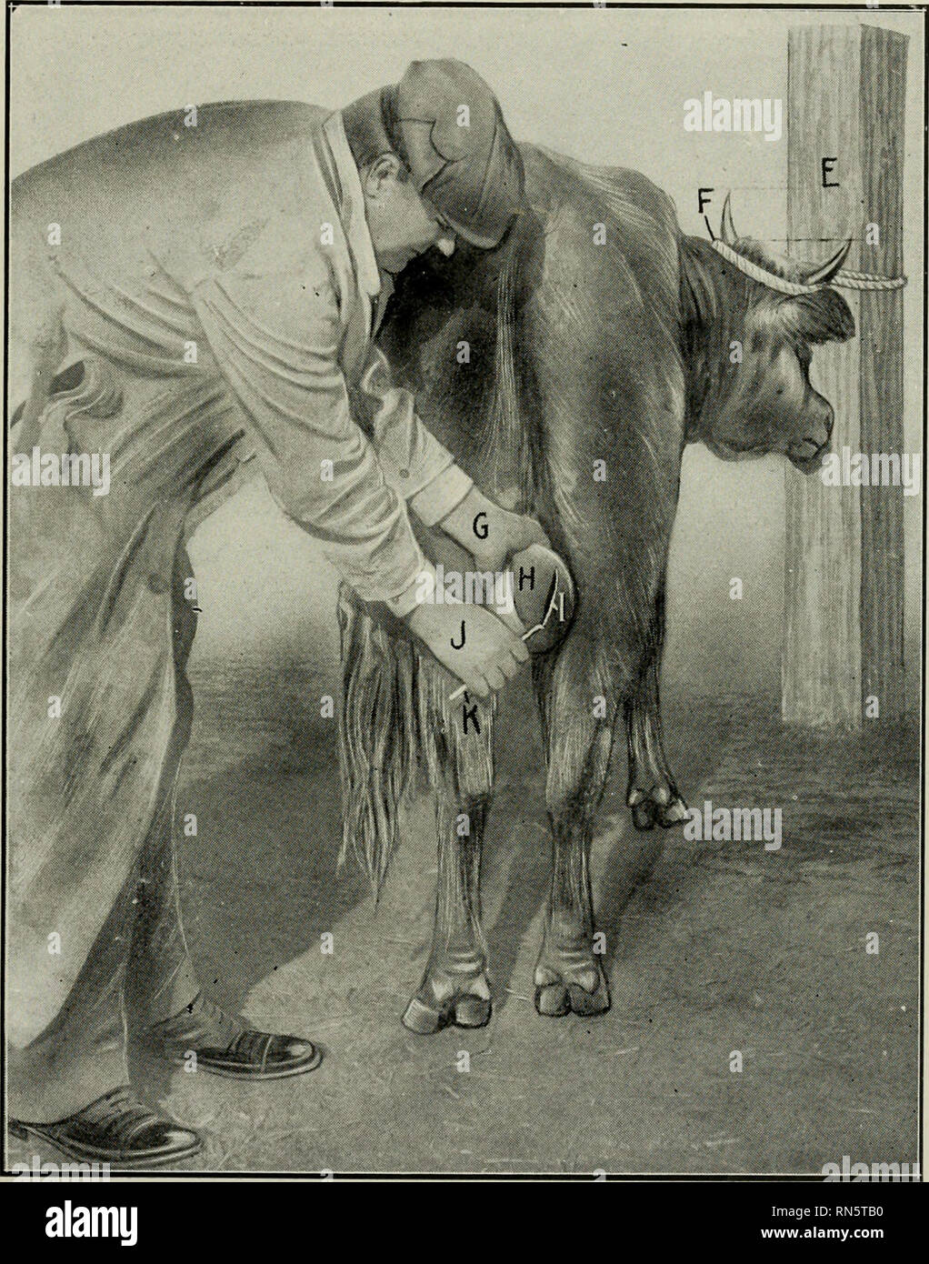 . Animal castration; a book for the use of students and practitioners. Castration; Spaying