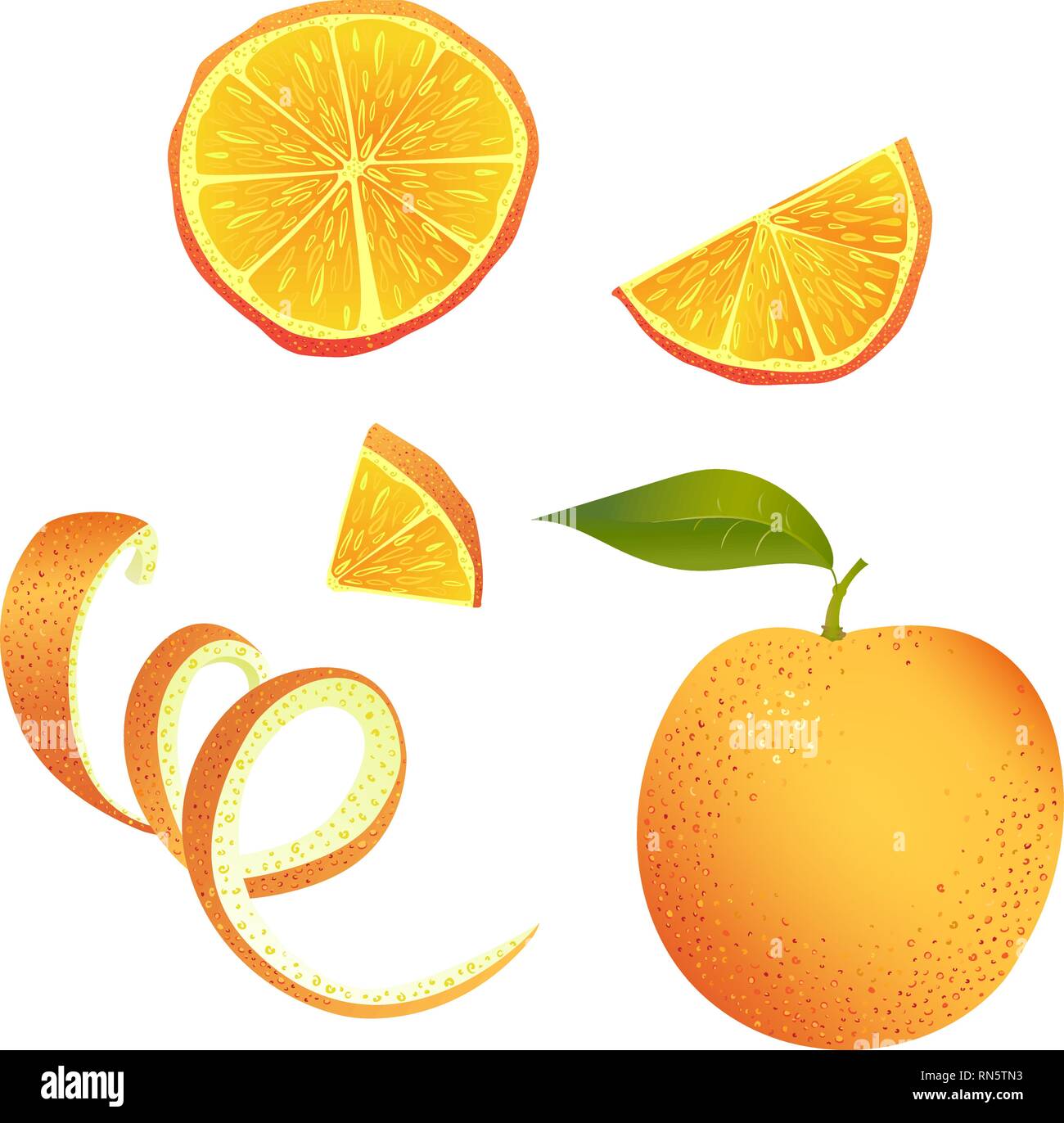 Vector illustration. Set of parts of orange. Stock Vector