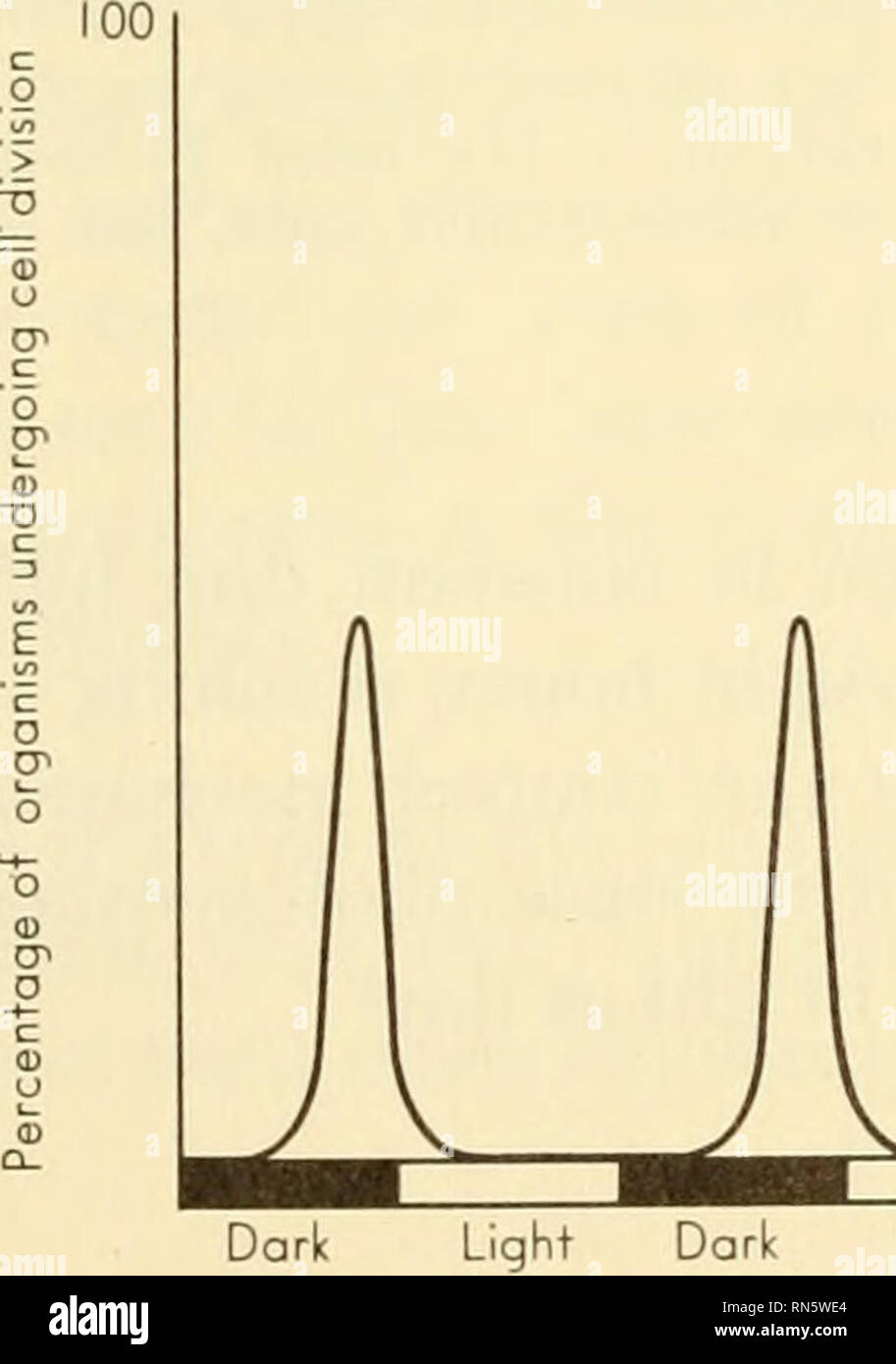 Animal growth and development. Embryology; Growth; Biology; Growth;  Embryology; Animals -- growth \u0026amp; development. The Life Cycle of the  Single Cell 19 For example, if a growing culture of Gonyanlax is, image size:913x1390