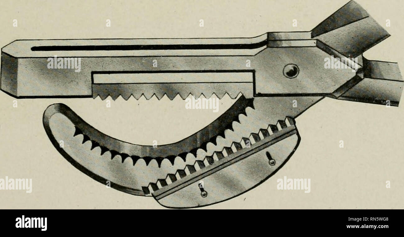 Animal Castration A Book For The Use Of Students And Practitioners Castration Spaying Fig 6 The Betz Triple Crimp Emaseulator Front View Straight Crimping Or Crushing Edges D C Fig 3 This Simply